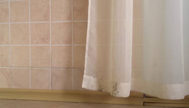 Best Air Quality Testing for Mold Spores  in Perry, GA