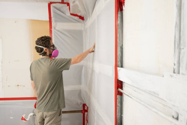 Best Water Damage & Mold Remediation  in Perry, GA