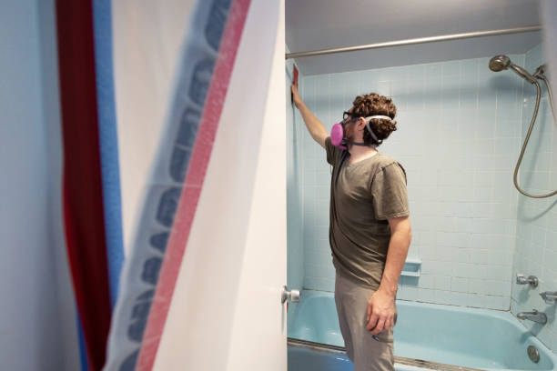Best Black Mold Removal  in Perry, GA