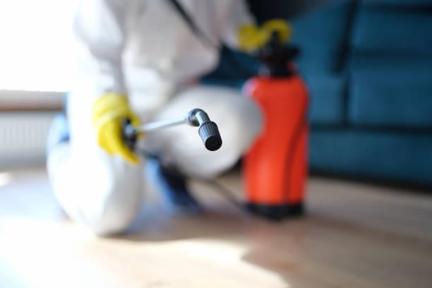 Asbestos and Lead Testing During Mold Inspection in Perry, GA