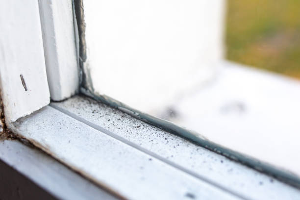 Best Mold Prevention Services  in Perry, GA