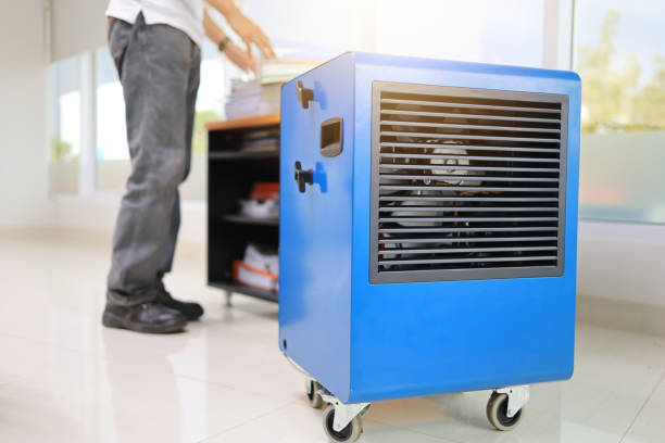 Best Attic Mold Removal  in Perry, GA