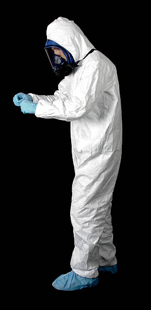 Best Basement Mold Removal  in Perry, GA